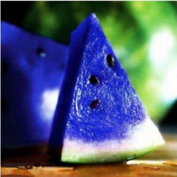 Blue water melon 