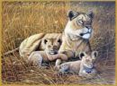 Lioness and cubs - picture of a lioness and her cubs in the wild