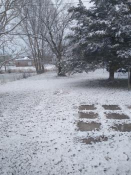 Snow in my back yard. Photo is mine.