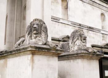 Lions at the entrance to the Fitzwilliam Museaum, Cambridge Lions at the entrance to the Fitzwilliam Museaum, Cambridge