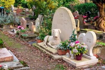 Pet_Cemetery Switzerland