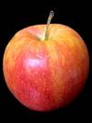 apple - it&#039;s the fruit i love