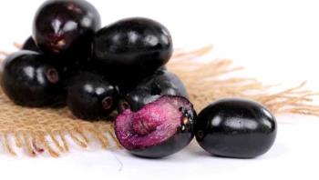 Jamun Koli Jamun Koli