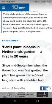 Penis Plant 