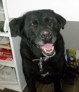 Angel under my desk
