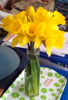 Safeway daffodils 2/$5 $5 Friday sale, today. Safeway daffodils 2/$5 $5 Friday sale, today.