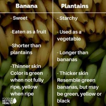 Plantain, banana 