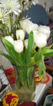 White tulips from Walmart.