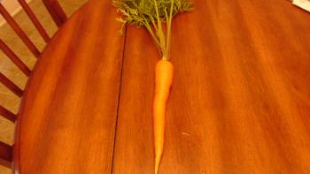 carrot from my garden