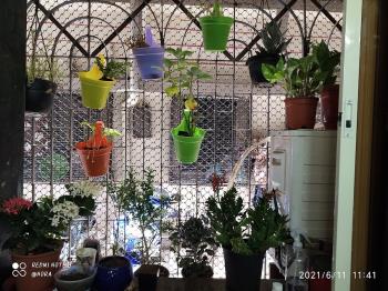 Baskets on my window sill.  Pic: my own