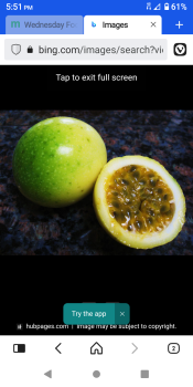 Picture of lilikoi fruit. Picture of lilikoi fruit.