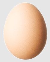 egg - egg