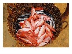 fishes - fishes in a basket...  