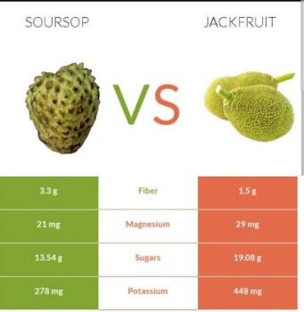 Guayabano & Jackfruit 