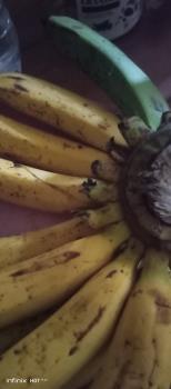 banana 