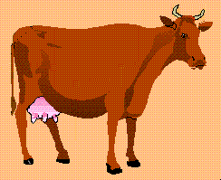 Cow   - This is a cow graphic I made.
