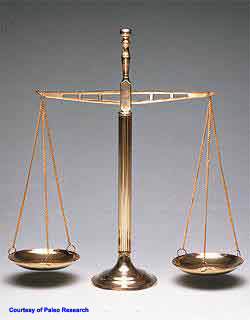 Scales of Justice - scale of justice