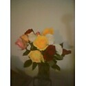 here&#039;s some flowers for u - here&#039;s some flowers for u