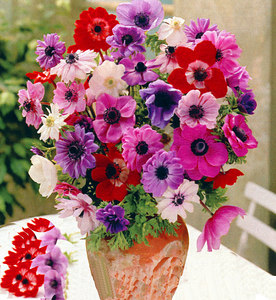 Flower! - Beautiful flowers^^