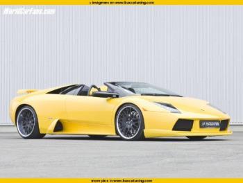 Lamborghini Murcielago - a beautiful yellow Lamborghini!