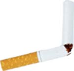 cigarette - a broken cigarette