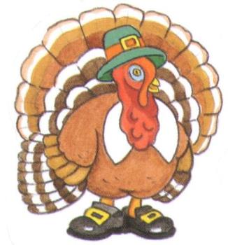 turkey - turkey