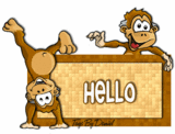 hello  - monkey hello