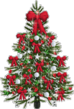 TREE - a christmas tree