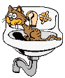 Cat In Sink - Cat In Sink
