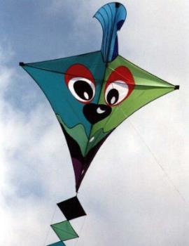 Kite - Pretty Kite