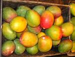 mangoes - mangoes