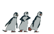 penguins - dancing penguins