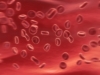 red blood cells! - blood red blood cells! - blood