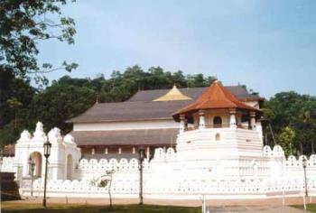 tooth of relic - Heritage 