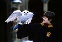 Harry and Hedwig - Harry Potter and his own Hedwig. Although personally I don&#039;t like the images from the films, and I havn&#039;t seen the films - I want my own pictures to be clear in my head, as they have become from reading the books!