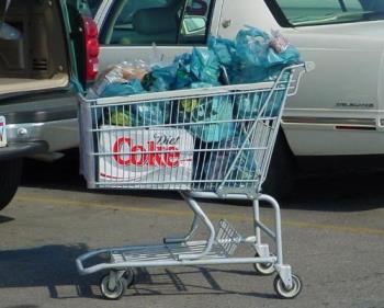 Shopping Cart - A full day&#039;s worth of goodies.