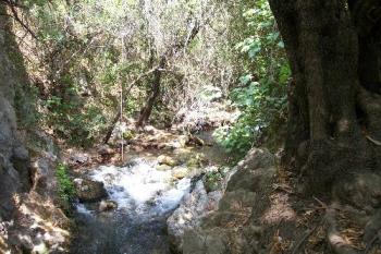 El bosque Spain - Hiking trail along the river.