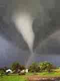 tornado - Pets sense tornadoes and storms on the way long before we do.