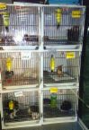 Pet Store - pet stores are a great place to raise kids
