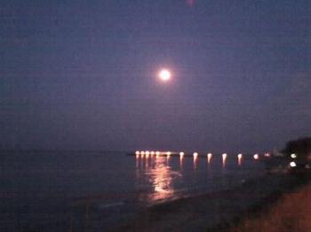 night - night in neptun