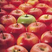 Apples, The fruit of the Gods! -  I&#039;m loving those apples! It&#039;s amazing what they do for you healthwise and they taste great, too!