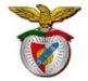 Benfica  - logo of the soccer club Sport Lisboa e Benfica in Lisbon, Portugal