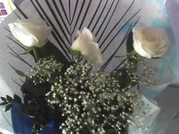 white roses - my white roses!!are so nice!!isn&#039;t it?