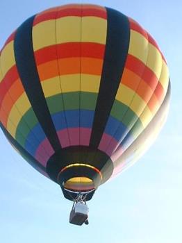 Balloon - This was a ballon from the Balloon Race this summer in York, PA.