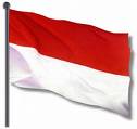 indonesian flag - indonesian flag