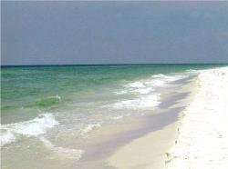 Beach in Florida - Beach in Florida