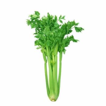 celery - celery