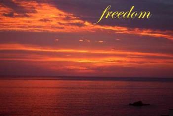 freedom - peace & freedom