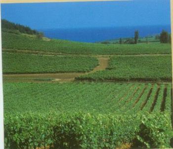 Green Valley - Green Valley Green Valley - Green Valley