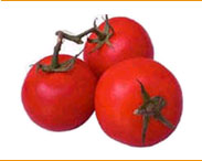 tomatoes - tomatoes
